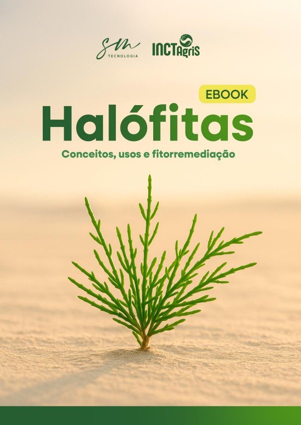 Descrição da Imagem