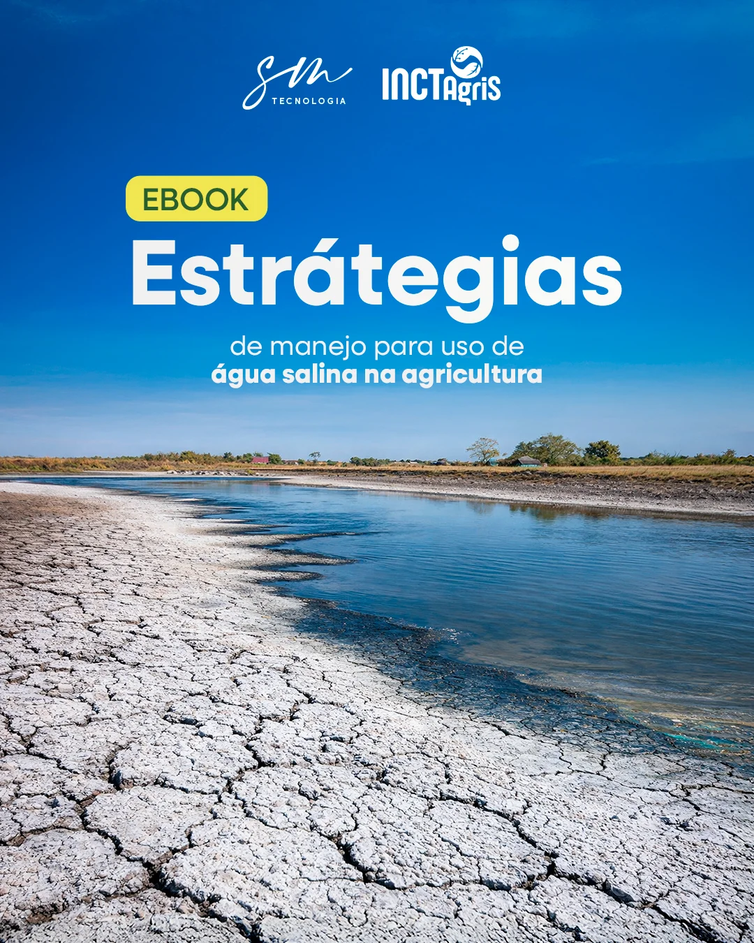 Descrição da Imagem