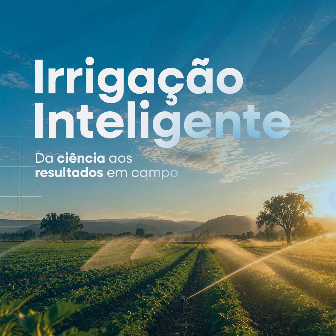 Descrição da Imagem