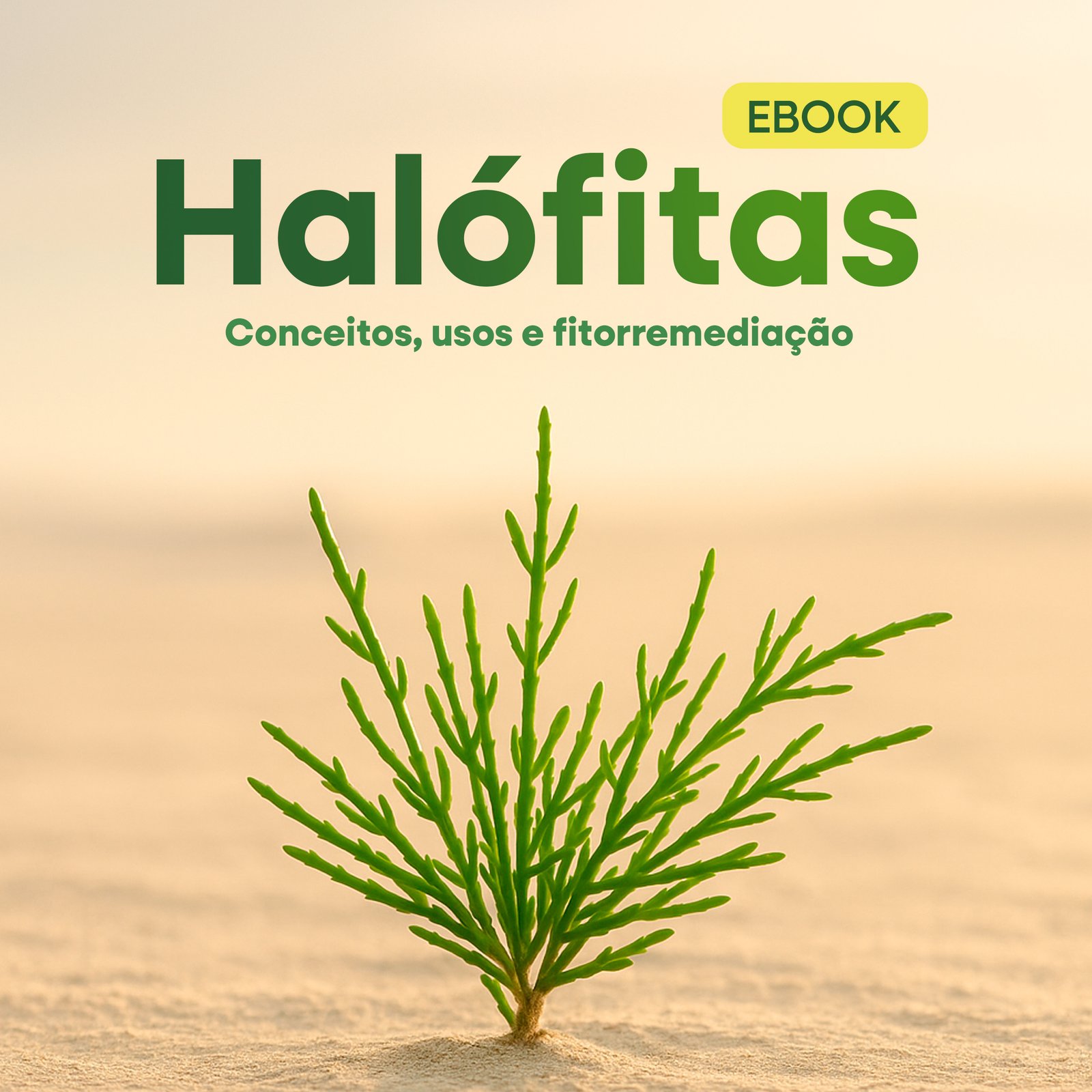 Descrição da Imagem