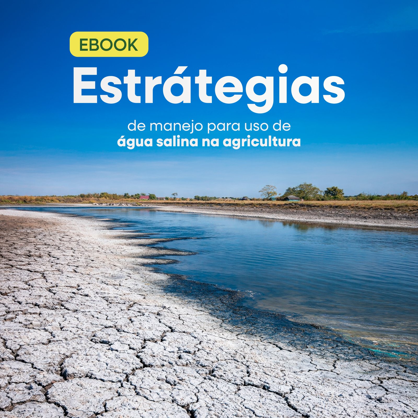 Descrição da Imagem